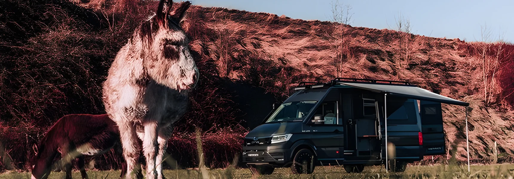 Pitch your own tent or camper at Dewflock Farm Camping