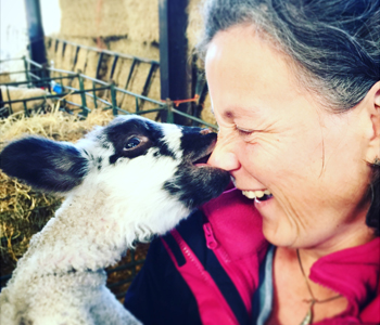 Come and meet us all at Dewflock farm, home of Dorset Farm Camping