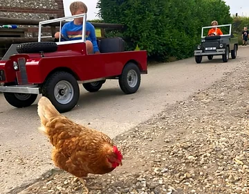 Mini Landies for the kids