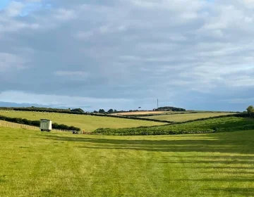 Amazing camping location in the heart of Dorset