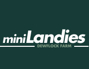 The World Heritage Jurassic Coast only a few miles from us