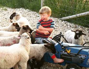 Fun for children at Dewflock farm